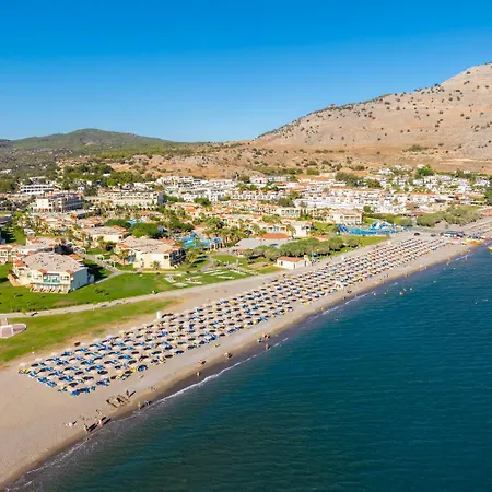 Elena * Κάλαθος